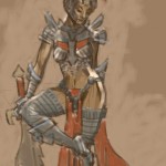 Splint and chain mail armor